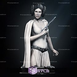 New Hope Leia Bust 3D Printing Models