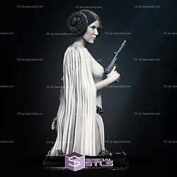 New Hope Leia Bust 3D Printing Models