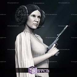 New Hope Leia Bust 3D Printing Models