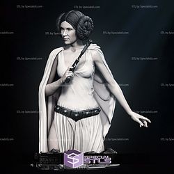 New Hope Leia Bust 3D Printing Models