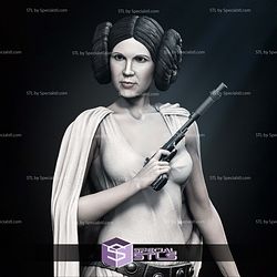 New Hope Leia Bust 3D Printing Models