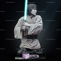 New Hope Luke Skywalker Bust 3D Printing Models