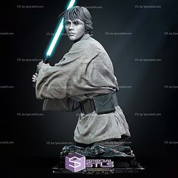 New Hope Luke Skywalker Bust 3D Printing Models