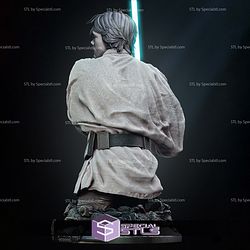 New Hope Luke Skywalker Bust 3D Printing Models