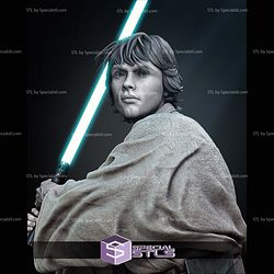 New Hope Luke Skywalker Bust 3D Printing Models