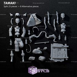 Tamaki Kotatsu Fire Force 3D Printing Models