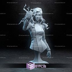 Asami Sato Bust The Legend of Korra 3D Printer Files