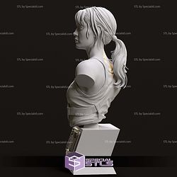 Lucy Bust from Fallout 3D Printer Files