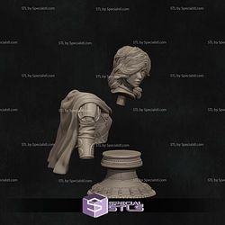 Alyara Bust 3D Printing Models