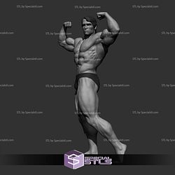 Arnold Schwarzenegger Various Pose NO CUT 3D Printing Models