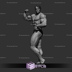 Arnold Schwarzenegger Various Pose NO CUT 3D Printing Models