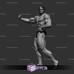 Arnold Schwarzenegger Various Pose NO CUT 3D Printing Models