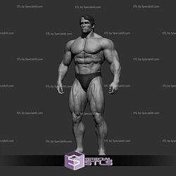 Arnold Schwarzenegger Various Pose NO CUT 3D Printing Models