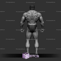 Arnold Schwarzenegger Various Pose NO CUT 3D Printing Models