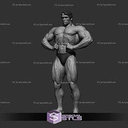 Arnold Schwarzenegger Various Pose NO CUT 3D Printing Models