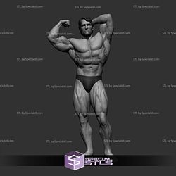 Arnold Schwarzenegger Various Pose NO CUT 3D Printing Models