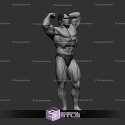 Arnold Schwarzenegger Various Pose NO CUT 3D Printing Models