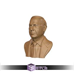 Benjamin Netanyahu Bust 3D Printing Models