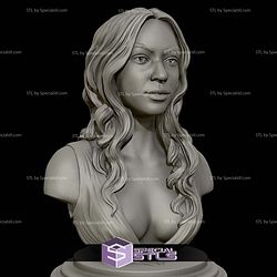 Beyonce Portrait Bust 3D Printing Models