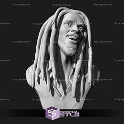 Bob Marley Bust 3D Printing Models