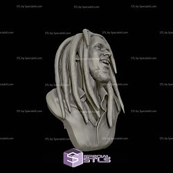 Bob Marley Bust 3D Printing Models