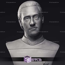 Brent Spiner LT Commander Data Bust 3D Printing Models