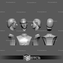 Brent Spiner LT Commander Data Bust 3D Printing Models