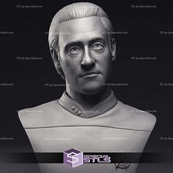 Brent Spiner LT Commander Data Bust 3D Printing Models