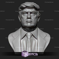 Donald Trump Bust 3D Printing Models