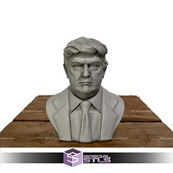 Donald Trump Bust 3D Printing Models