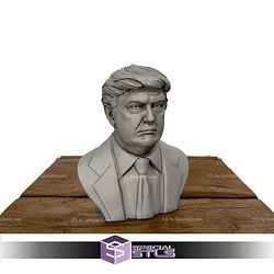 Donald Trump Bust 3D Printing Models