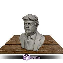 Donald Trump Bust 3D Printing Models