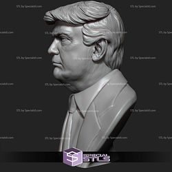 Donald Trump Bust 3D Printing Models