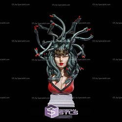 Enchant Medusa Bust 3D Printing Models