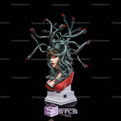 Enchant Medusa Bust 3D Printing Models