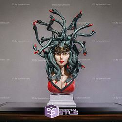 Enchant Medusa Bust 3D Printing Models