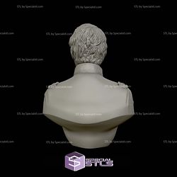 General Winfield Scott Hancock Bust 3D Printing Models