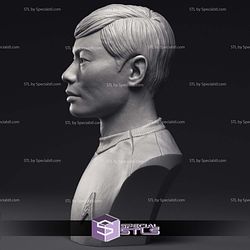 George Takei Hikaru Sulu Bust 3D Printing Models