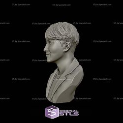 J Hope BTS Bust 3D Printing Models