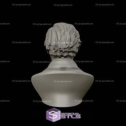 Jefferson Davis Bust 3D Printing Models