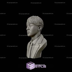 Jin BTS Bust 3D Printing Models