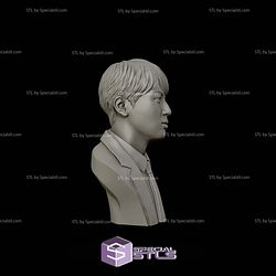 Jin BTS Bust 3D Printing Models