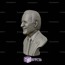 Joe Biden Bust 3D Printing Models