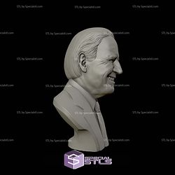 Joe Biden Bust 3D Printing Models