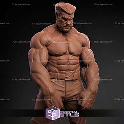 Logan Wolverine Muscle 3D Printing Models