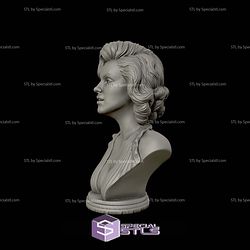 Marilyn Monroe Bust 3D Printing Models