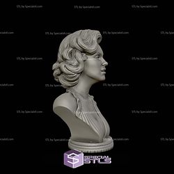 Marilyn Monroe Bust 3D Printing Models