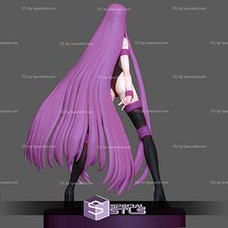 Medusa Rider Fate Stay Night 3D Printing Models