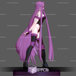 Medusa Rider Fate Stay Night 3D Printing Models