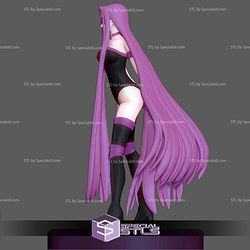 Medusa Rider Fate Stay Night 3D Printing Models